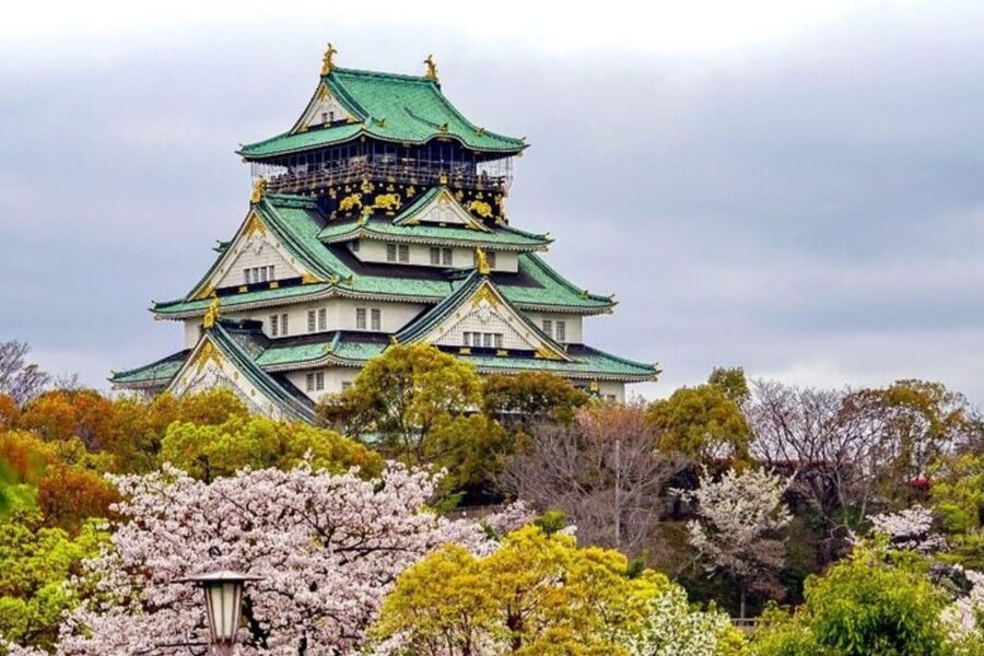 Osaka: Private Custom Walking Tour with a Local Guide - FAQ