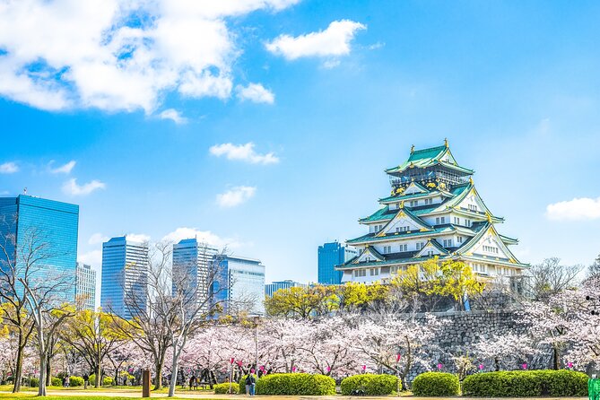Osaka Private Day Trip - Enjoy Your First-Time Visit to Osaka! - A one-day route through old and new Osaka
