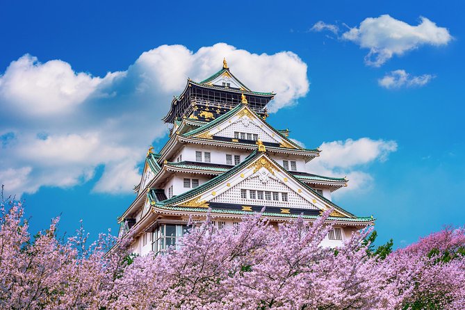 Osaka Private Food Tours by Local Foodies: 100% Personalized - Arcades and kushikatsu