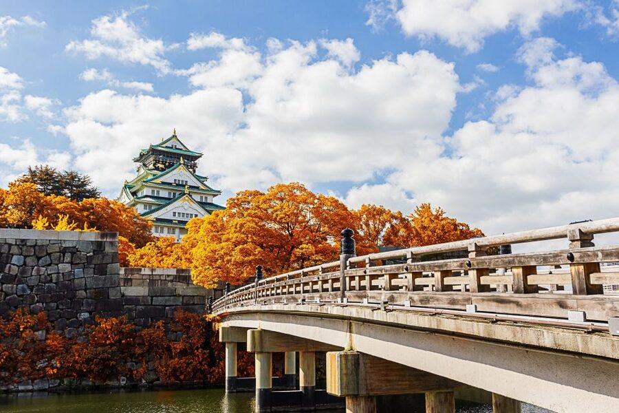Osaka Private Tour with Government-Licensed Guide - The best itinerary depends on what you want from Osaka