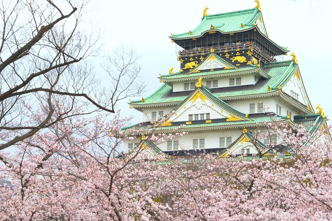 Osaka Private Walking Tour with a Local - Dotonbori, food stops, and the Osaka you came to find