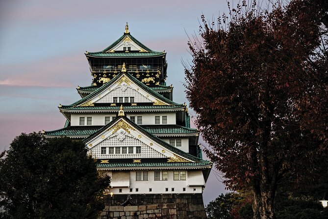 Osaka Private Walking Tour with a Local - Two to six hours, with your group alone