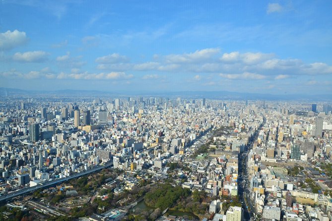 Osaka’s Best and Brightest: Private Full-Day Tour by Vehicle - Dotonbori finishes with neon and side streets