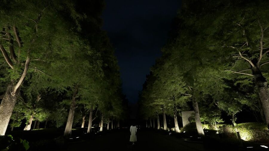 Osaka: teamLab Botanical Garden Entry Ticket - What to know before you go