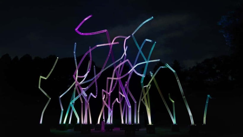 Osaka: teamLab Botanical Garden Entry Ticket - A garden that changes after sunset