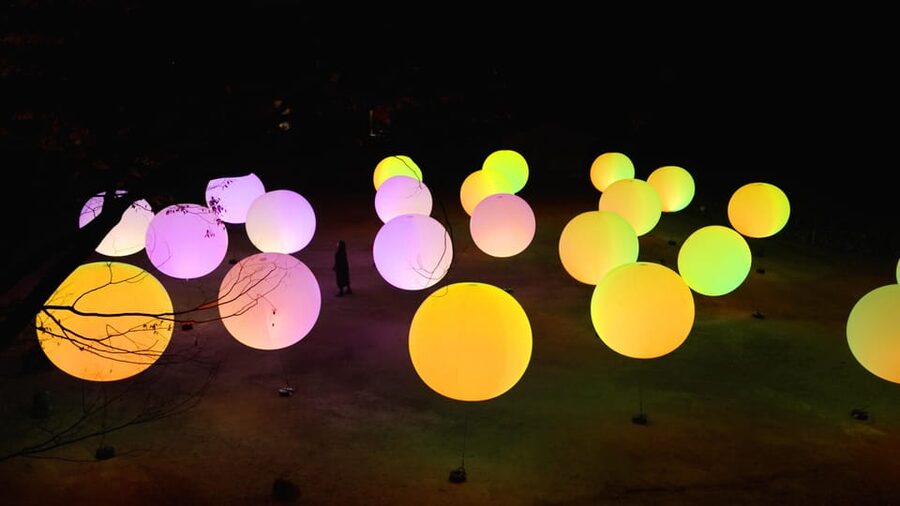 Osaka: teamLab Botanical Garden Entry Ticket - Timing, transport, and the rules that matter
