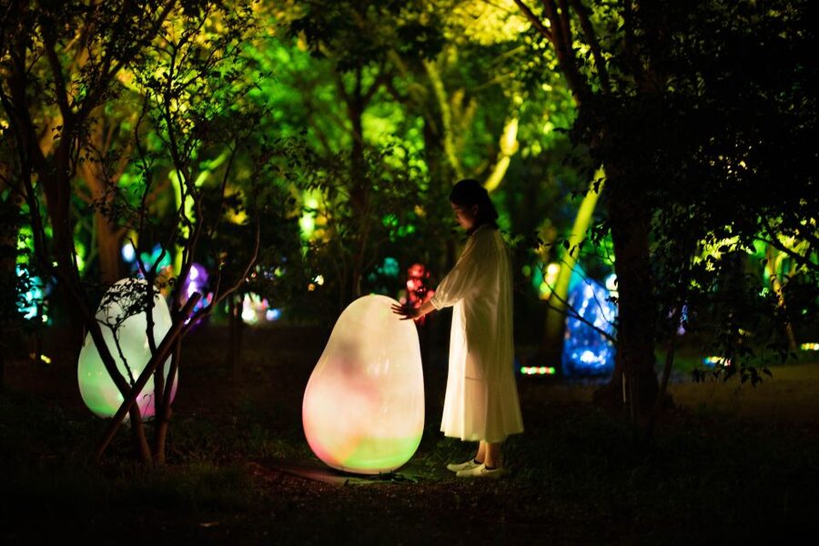 Osaka: teamLab Botanical Garden Entry Ticket - Should you book teamLab Botanical Garden?