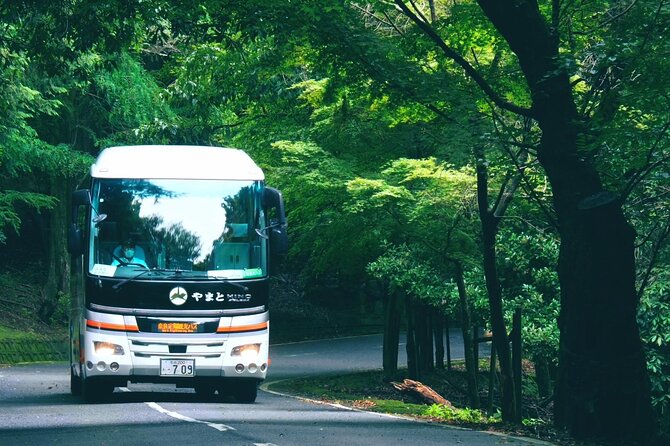 Perfect Nara Park Half-Day Bus Tour with English Speaking Guide - Who should book this Nara tour?