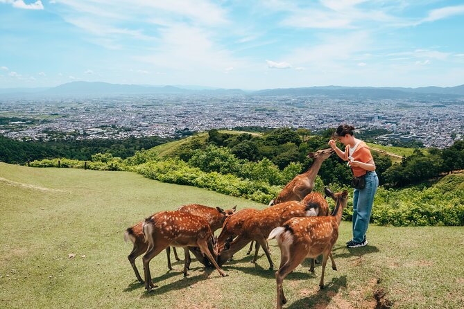 Perfect Nara Park Half-Day Bus Tour with English Speaking Guide - Todaiji: the Great Buddha and Nandaimon Gate