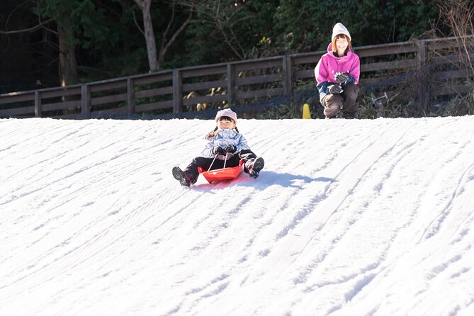Play with Snow Crab Buffet Lunch and Strawberry Picking Bus Tour - What to know before you go