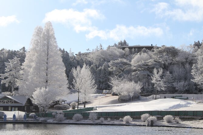 Play with Snow Crab Buffet Lunch and Strawberry Picking Bus Tour - Mt. Rokko: snow time, not a ski day