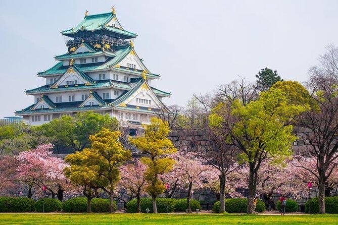 PRIVATE 6hr, Food tour from Osaka Castle, Kuromon, Dotonbori. - From Osaka Castle to Dotonbori in one day