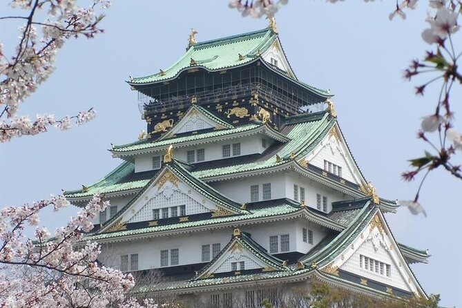 PRIVATE 6hr, Food tour from Osaka Castle, Kuromon, Dotonbori. - Dotonbori brings the route to a bright finish