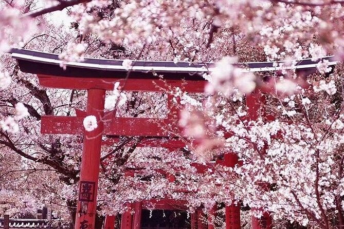 Private arrival transfer from Osaka Itami International airport to Kyoto City - Is $79.07 per person good value?