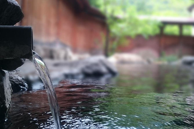 Private Car Day Trip to the Kobe Mountains, Gardens and Hot Springs from Osaka - Arima Onsen is the day’s reward