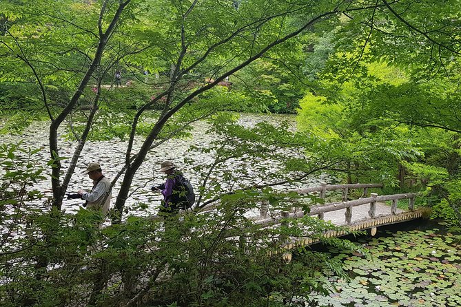 Private Car Day Trip to the Kobe Mountains, Gardens and Hot Springs from Osaka - The real cost for a group of six