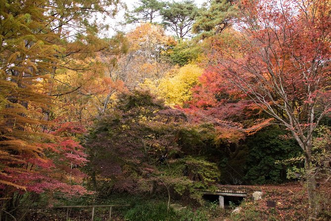 Private Car Day Trip to the Kobe Mountains, Gardens and Hot Springs from Osaka - FAQ
