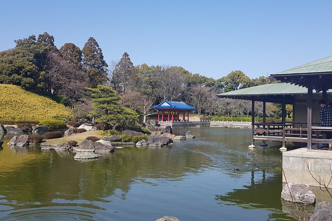 Private Car Full Day Tour of Osaka Temples, Gardens and Kofun Tombs - Kaiten sushi: lunch with a local twist