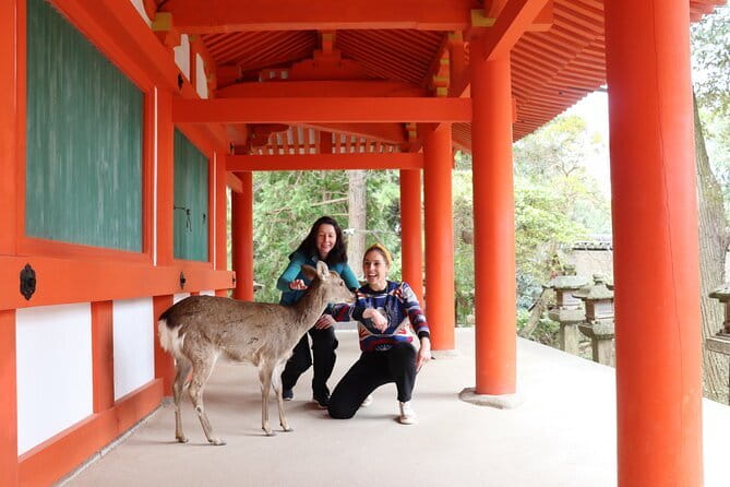 Private Nara Tour and Sake Tasting (Departing from Kyoto/Nara) - From Kyoto or Nara: setting the day’s pace