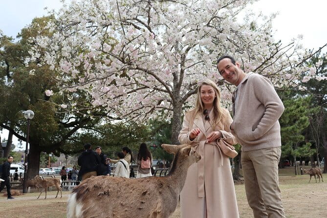 Private Nara Tour and Sake Tasting (Departing from Kyoto/Nara) - Kofuku-ji: a quick look at Nara’s Buddhist past