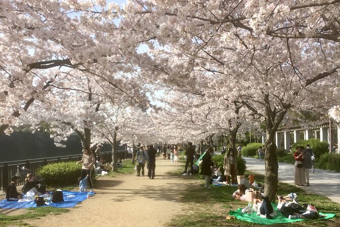 Private Osaka Tour with Hotel Meet Up - What to know before you book