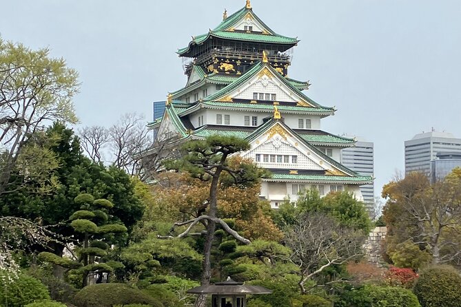 Private Osaka Tour with Hotel Meet Up - Dotonbori: canal views and street-food temptations