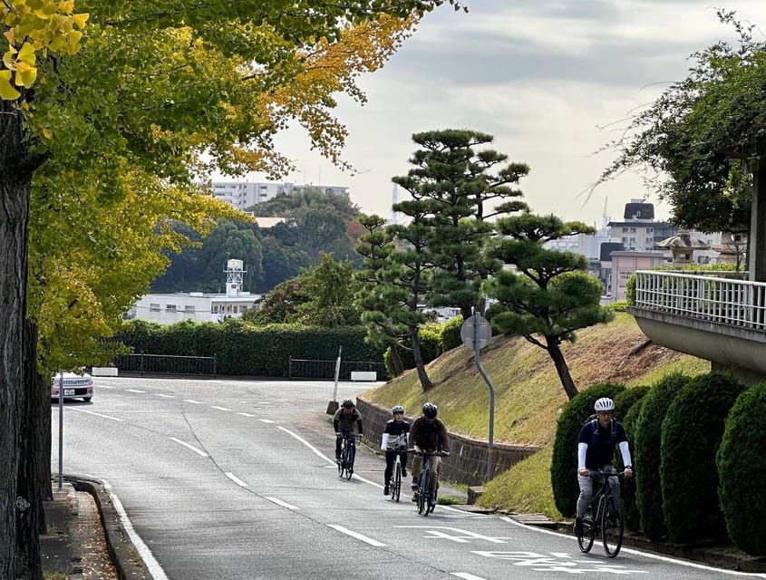 Ride around the Castle. Slurp like a Local - Castle views without the queues inside