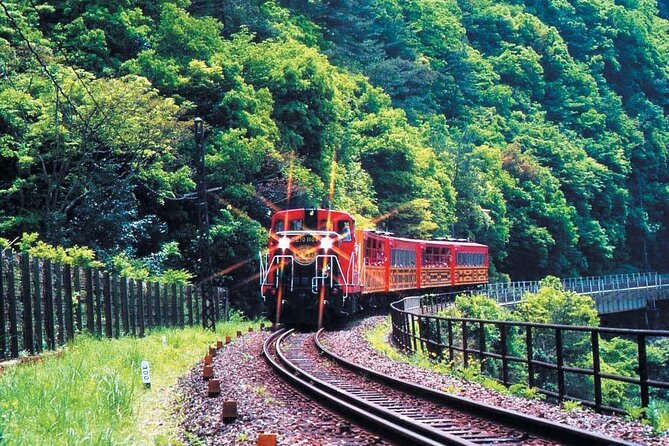 Sagano Romantic Train & Arashiyama, Kiyomizudera, Fushimi Inari Taisha Day Tour - Crowds, walking, and seasonal timing