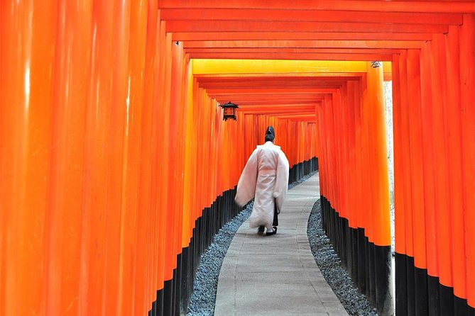 Sagano Romantic Train & Arashiyama, Kiyomizudera, Fushimi Inari Taisha Day Tour - Who should book this Kyoto day trip