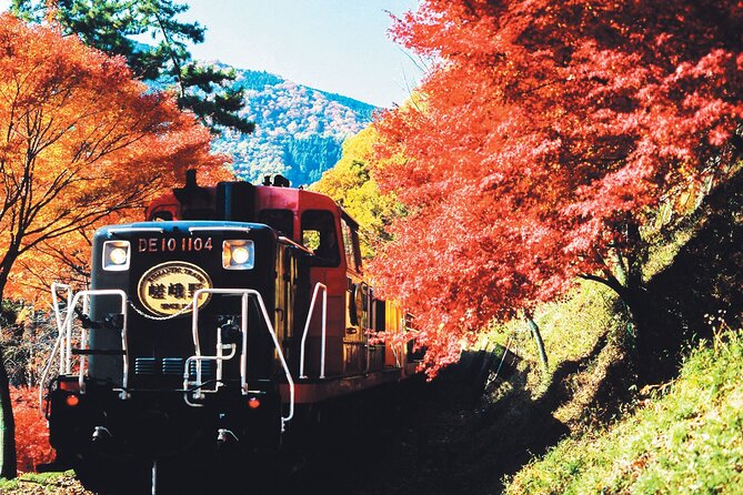 Sagano Romantic Train & Arashiyama, Kiyomizudera, Fushimi Inari Taisha Day Tour - Kiyomizu-dera and its hillside stage