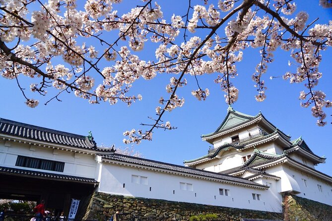 The Best of Wakayama City Private Tour - Starting at Wakayama Castle