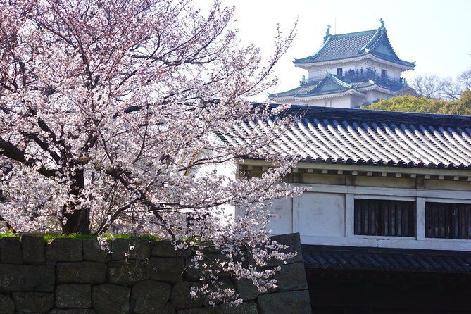 The Best of Wakayama City Private Tour - Who should book this Wakayama tour?