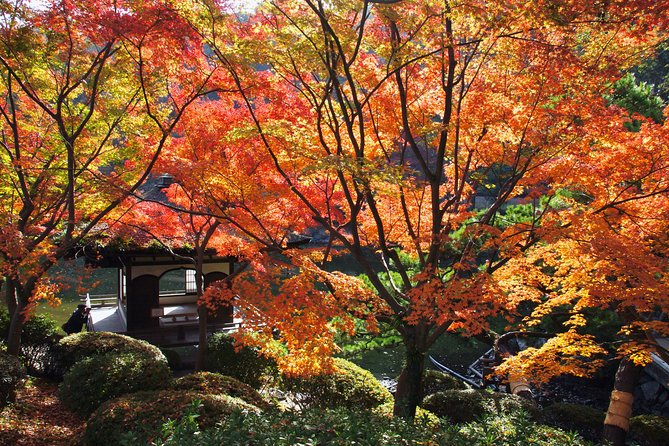 The Best of Wakayama City Private Tour - Riding the train to Kishi Station