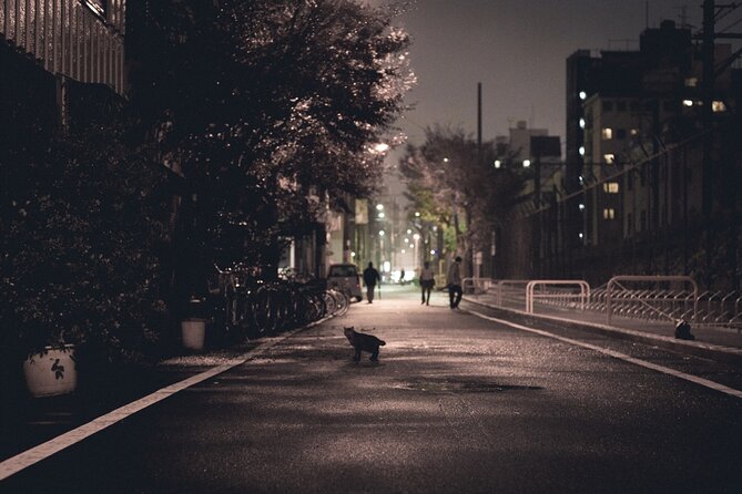 The Dark Side of Osaka Walking Tour - Tsutenkaku Hondori: Ending Near The Tower
