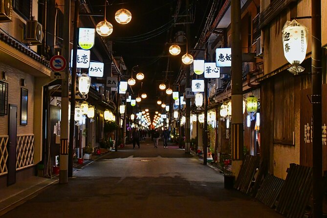 The Dark Side of Osaka Walking Tour - What The $25 Price Buys