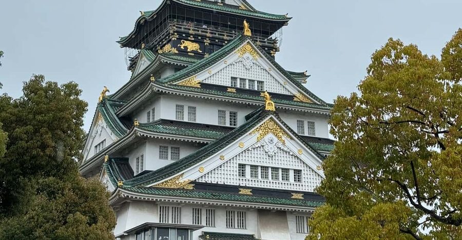 (Ticket Included) Explore Osaka Castle & Museum of History - Choose the tour that fits your morning