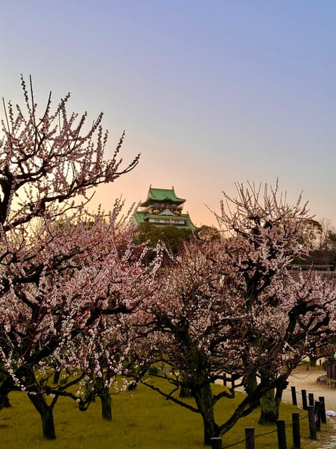 (Ticket Included) Explore Osaka Castle & Museum of History - Enter Osaka Castle at your own pace