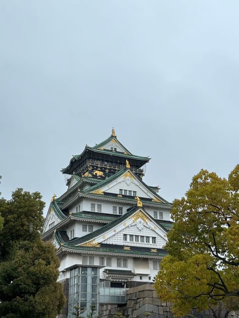 (Ticket Included) Explore Osaka Castle & Museum of History - The early walk keeps things simple
