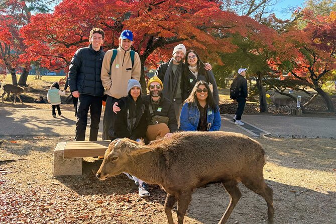 World Heritage Kyoto & Nara Uji Authentic Matcha Experience - Kasuga Shrine and Nara’s lantern-lined paths