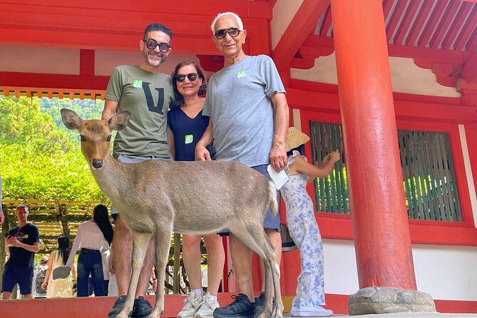 World Heritage Kyoto & Nara Uji Authentic Matcha Experience - Byodoin Temple and its familiar Phoenix Hall
