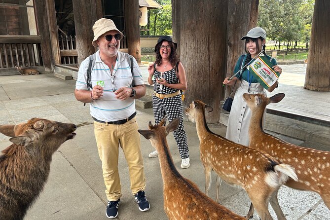 World Heritage Kyoto & Nara Uji Authentic Matcha Experience - Who should book this Nara and Uji day trip?